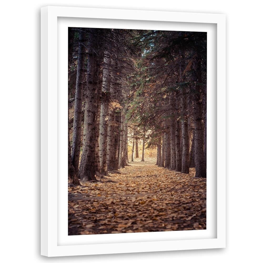 Glezna baltā rāmī - Forest In Autumn  Home Trends DECO