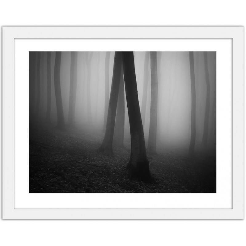 Glezna baltā rāmī - Forest in fog 2  Home Trends DECO