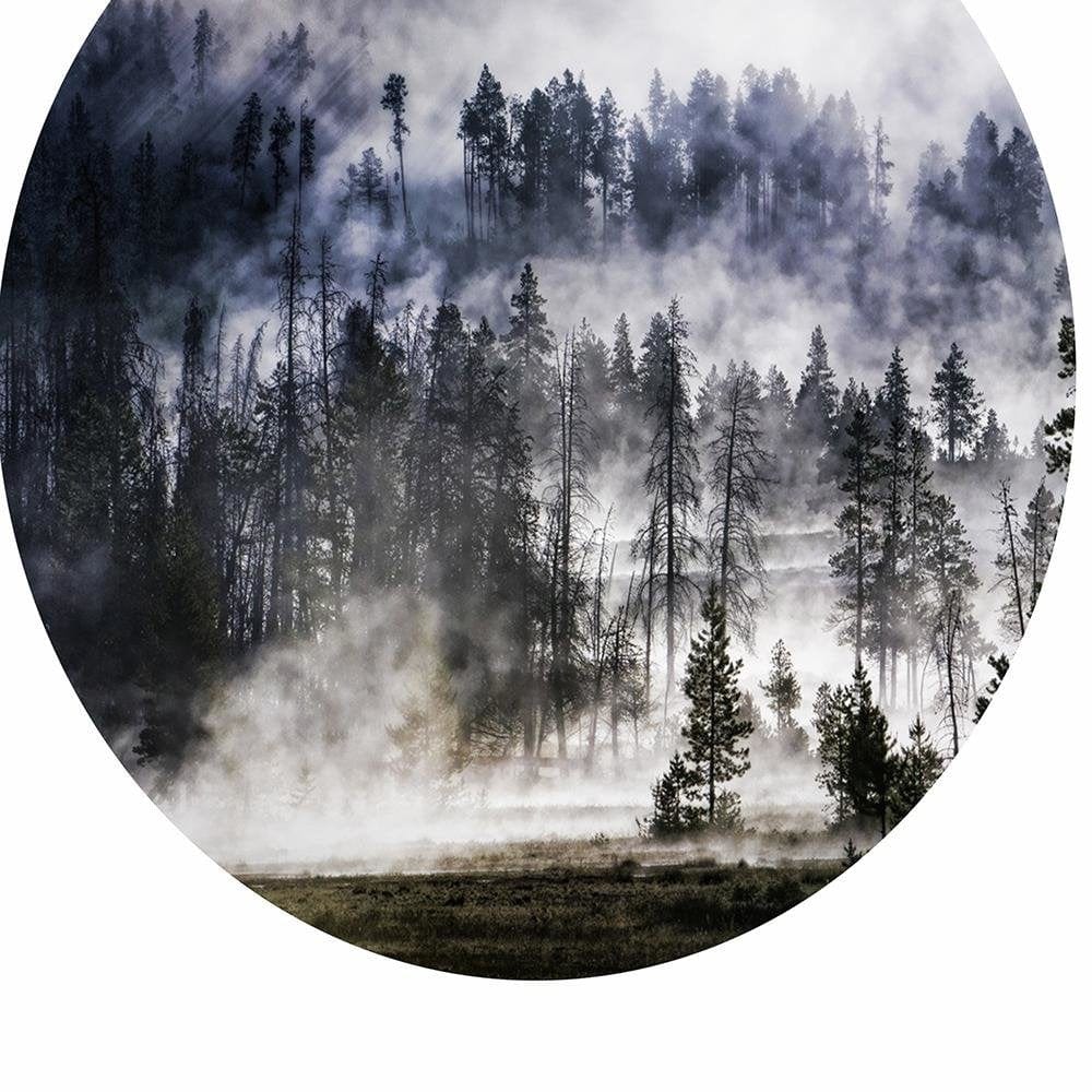 Glezna baltā rāmī - Forest In Smoke  Home Trends DECO