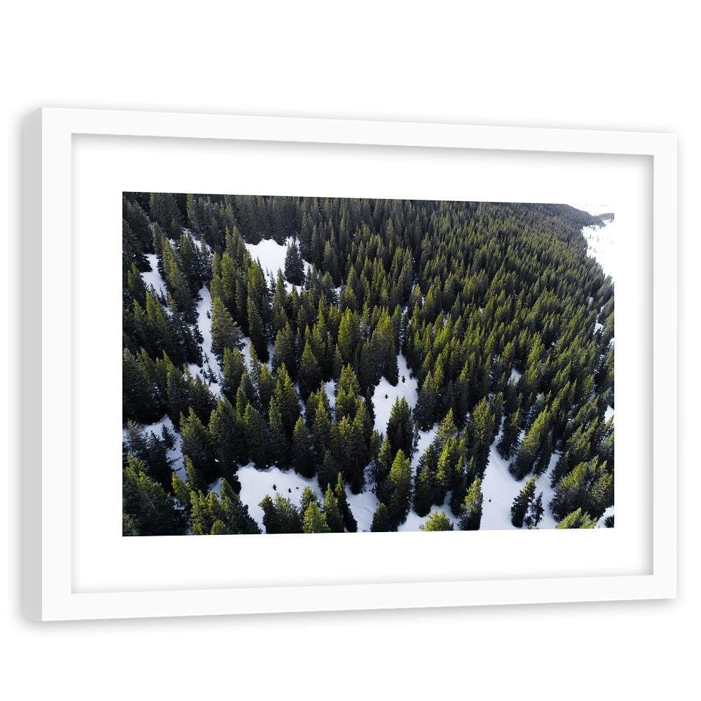 Glezna baltā rāmī - Forest In Snow  Home Trends DECO