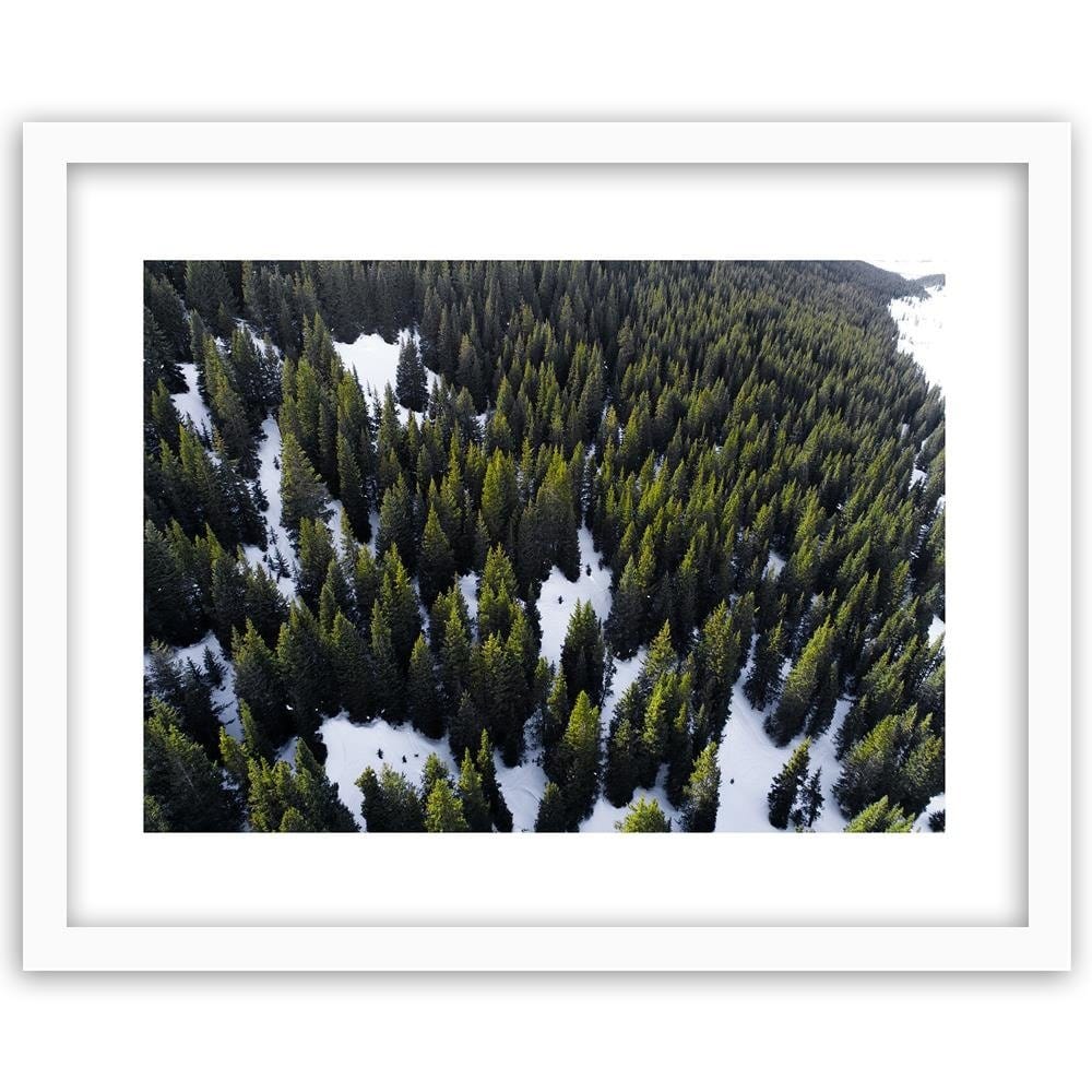 Glezna baltā rāmī - Forest In Snow  Home Trends DECO