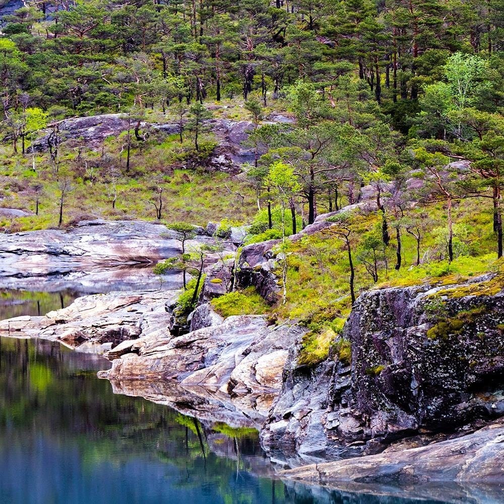 Glezna baltā rāmī - Forest On A Mountain Lake  Home Trends DECO
