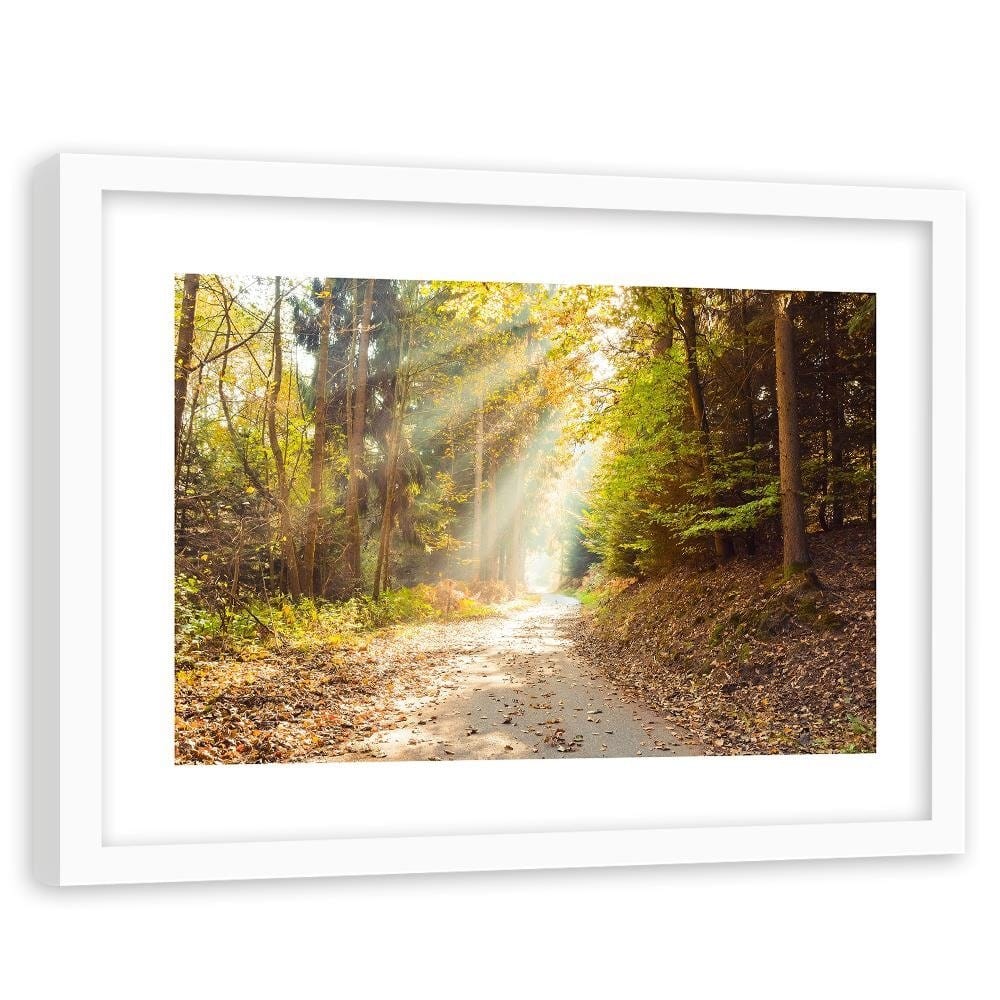 Glezna baltā rāmī - Forest Road In Autumn  Home Trends DECO