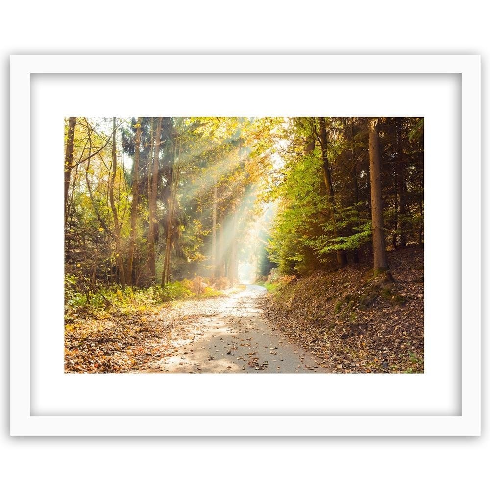 Glezna baltā rāmī - Forest Road In Autumn  Home Trends DECO