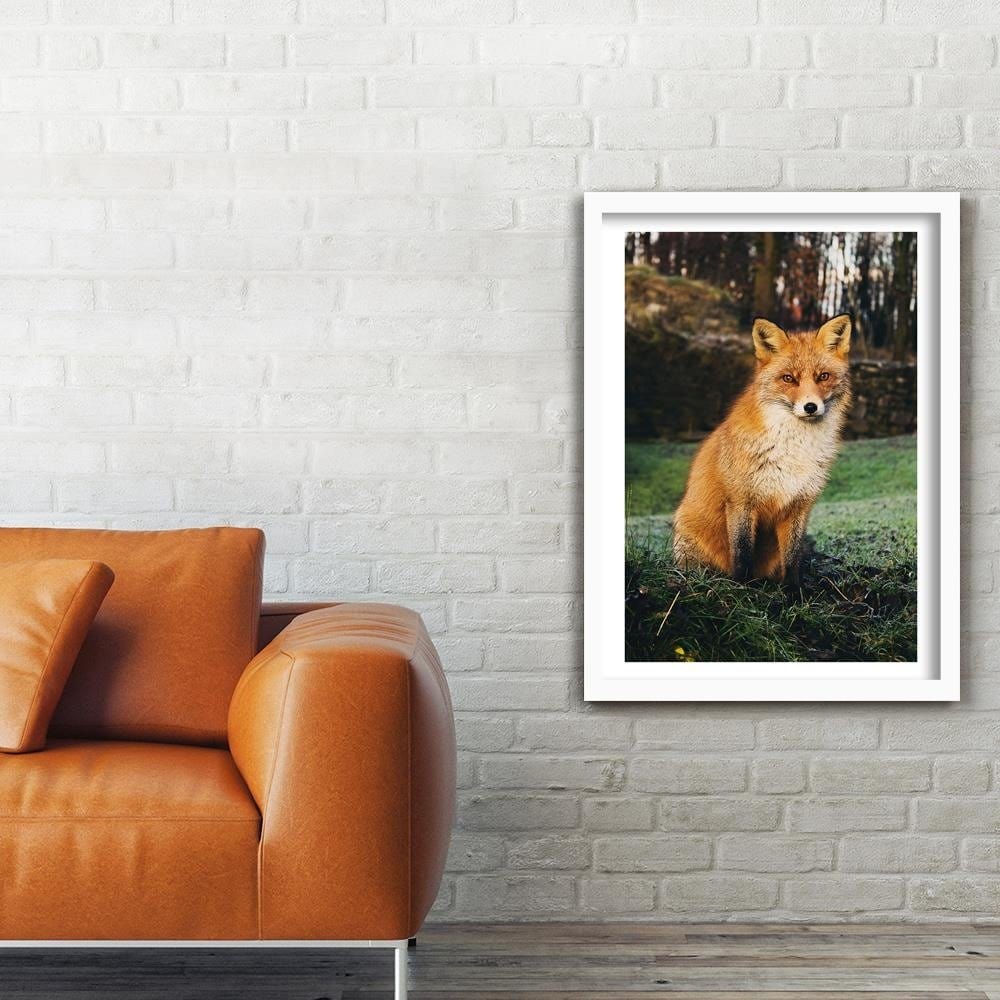 Glezna baltā rāmī - Fox In The Woods  Home Trends DECO