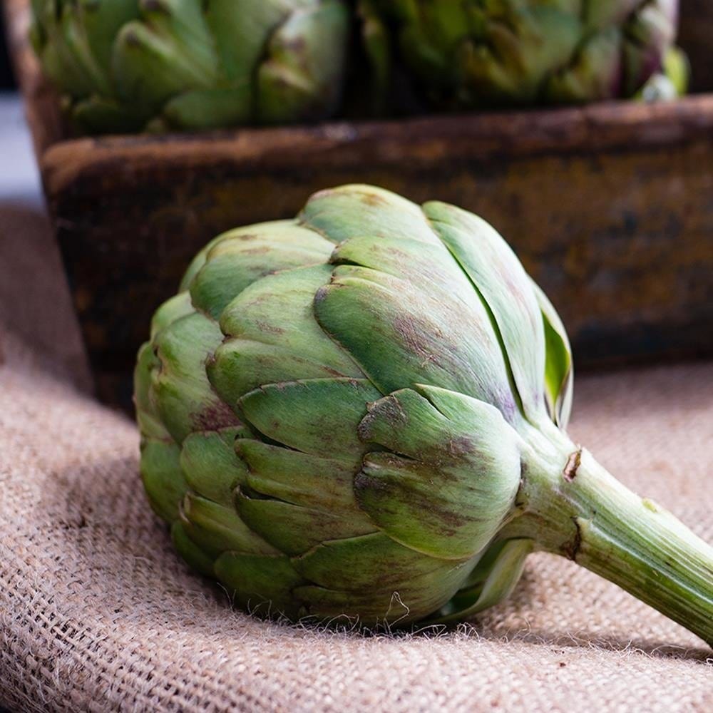 Glezna baltā rāmī - Fresh Artichokes  Home Trends DECO