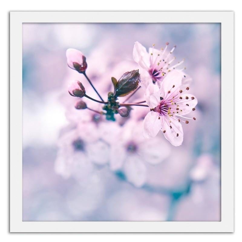 Glezna baltā rāmī - Fruit tree branch with pink flowers  Home Trends DECO