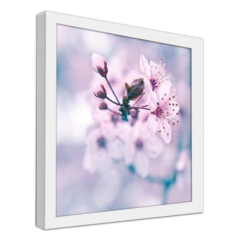 Glezna baltā rāmī - Fruit tree branch with pink flowers  Home Trends DECO