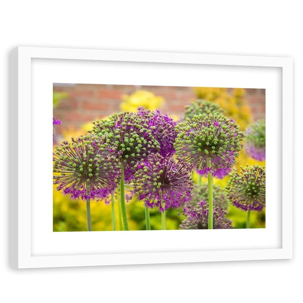 Glezna baltā rāmī - Garlic Decorative  Home Trends DECO