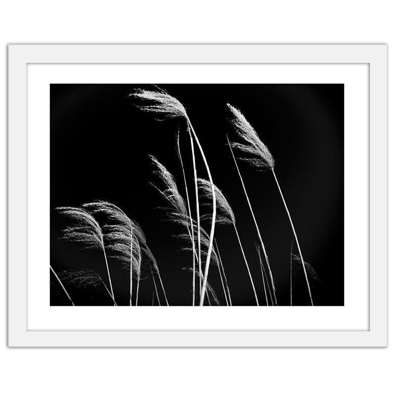 Glezna baltā rāmī - Grass in black and white  Home Trends DECO