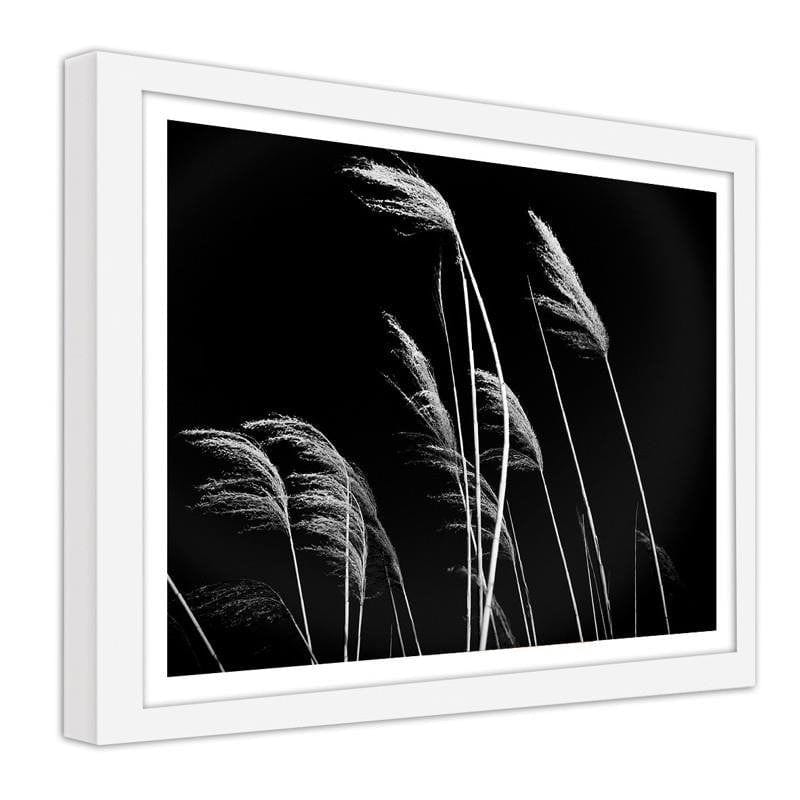 Glezna baltā rāmī - Grass in black and white  Home Trends DECO