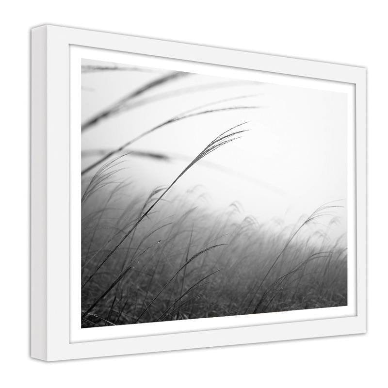 Glezna baltā rāmī - Grass in the fog  Home Trends DECO