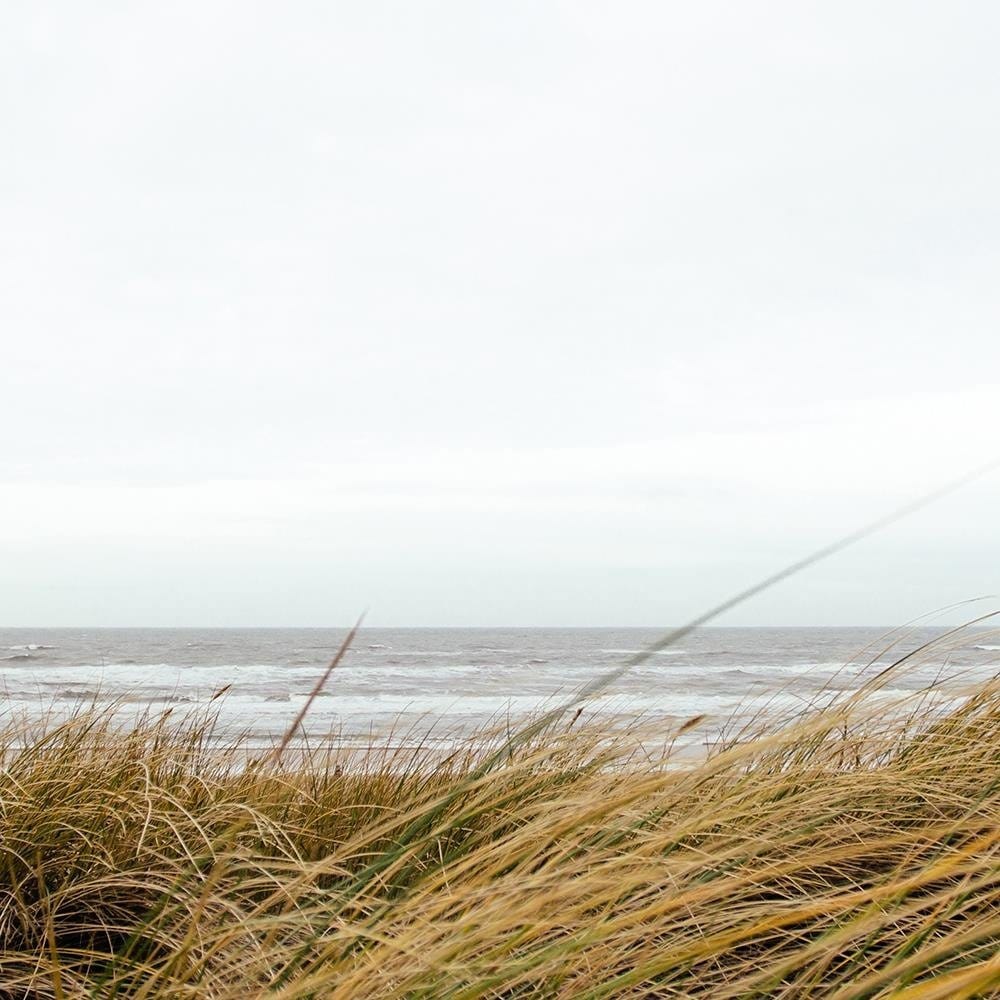 Glezna baltā rāmī - Grass In The Sea  Home Trends DECO