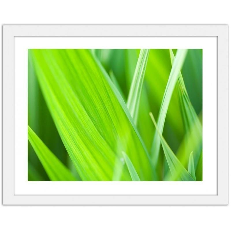 Glezna baltā rāmī - Grass leaves  Home Trends DECO