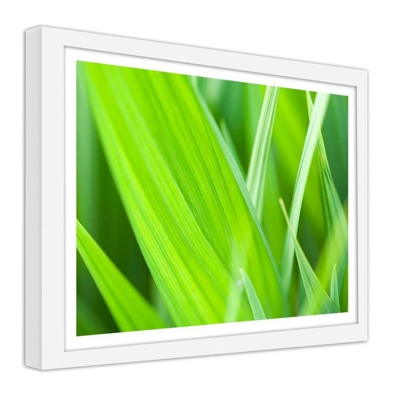 Glezna baltā rāmī - Grass leaves  Home Trends DECO