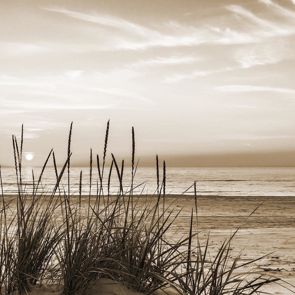 Glezna baltā rāmī - Grass On The Beach 1  Home Trends DECO