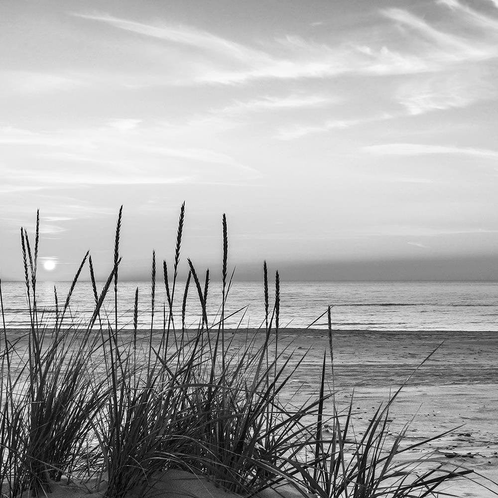 Glezna baltā rāmī - Grass On The Beach 2  Home Trends DECO
