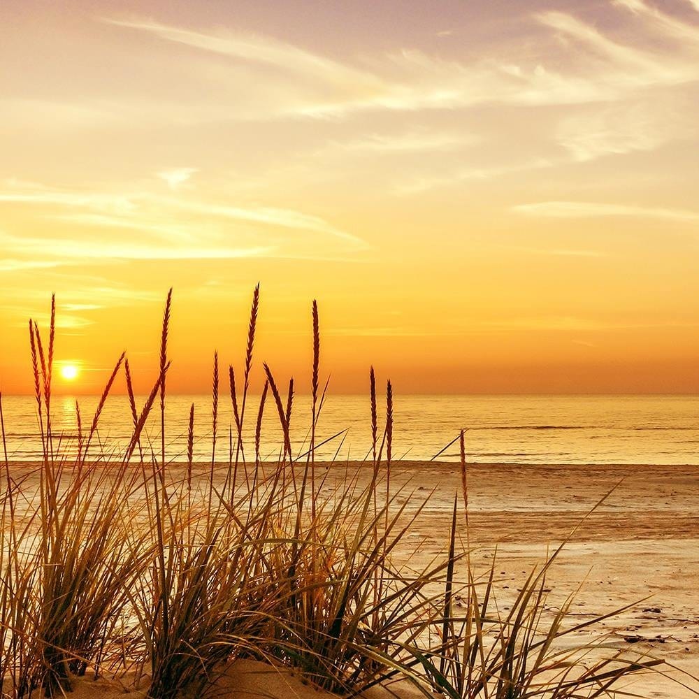 Glezna baltā rāmī - Grass On The Beach 3  Home Trends DECO