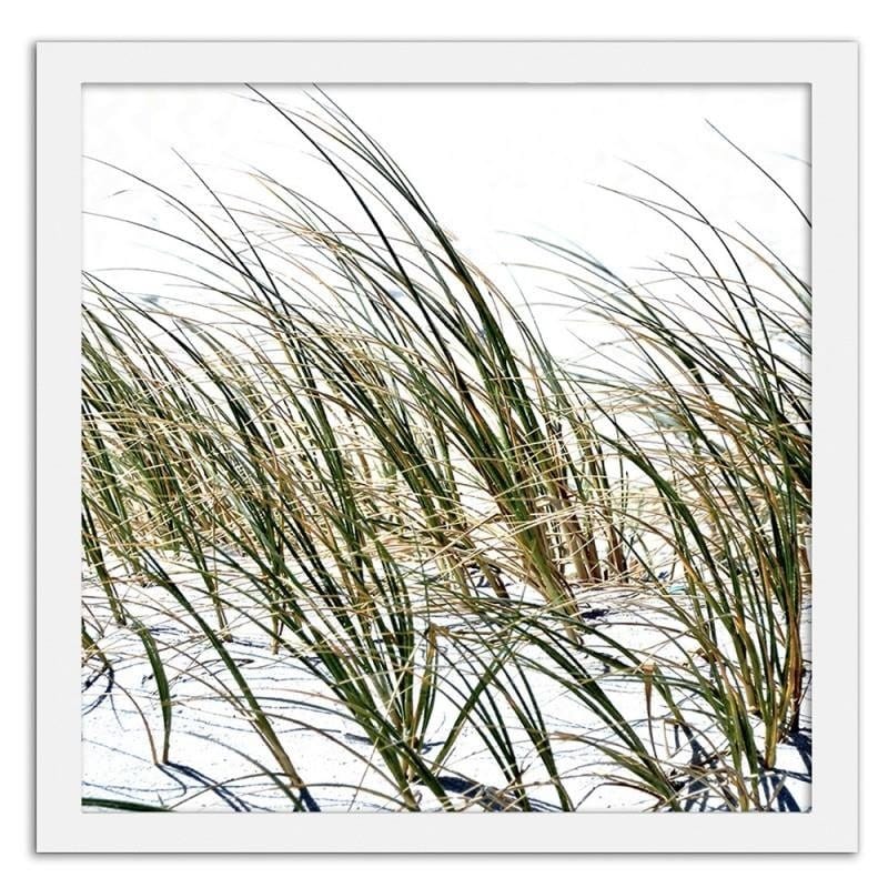 Glezna baltā rāmī - Grass on the beach  Home Trends DECO