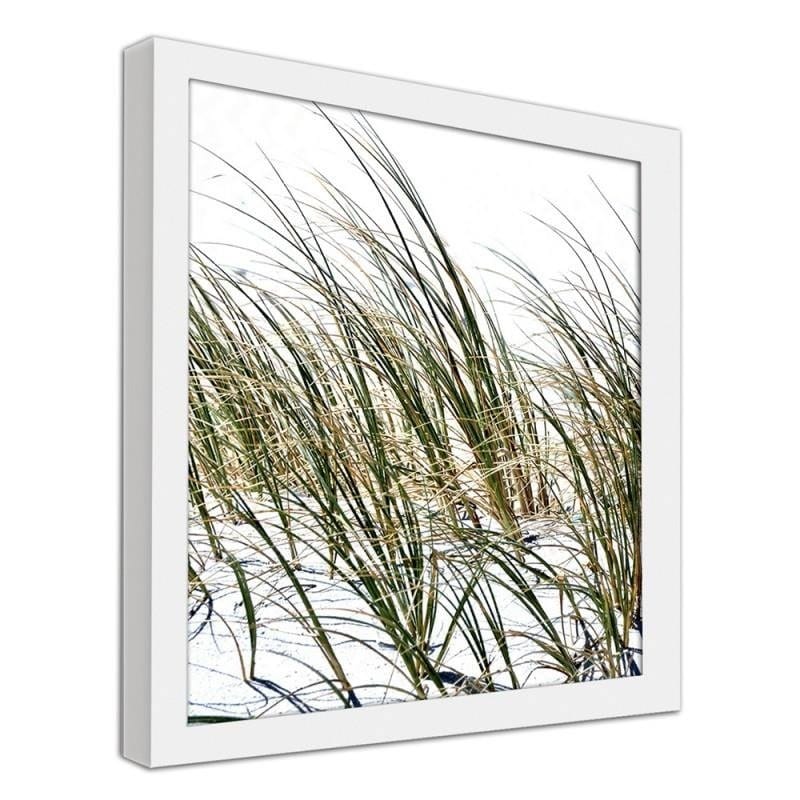 Glezna baltā rāmī - Grass on the beach  Home Trends DECO