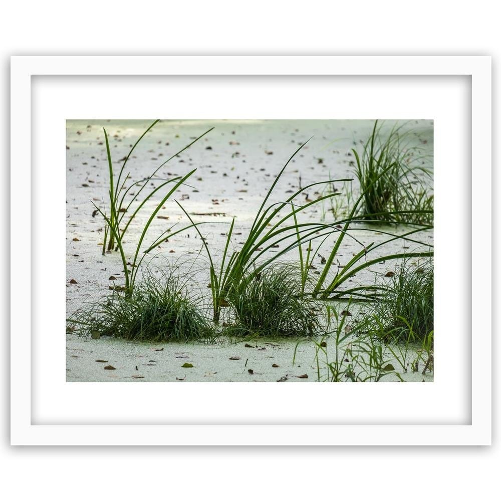 Glezna baltā rāmī - Grass On The Beach  Home Trends DECO