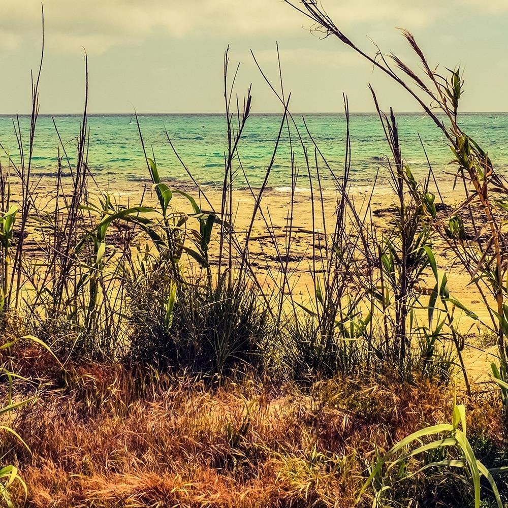 Glezna baltā rāmī - Grass Over Blue Sea  Home Trends DECO