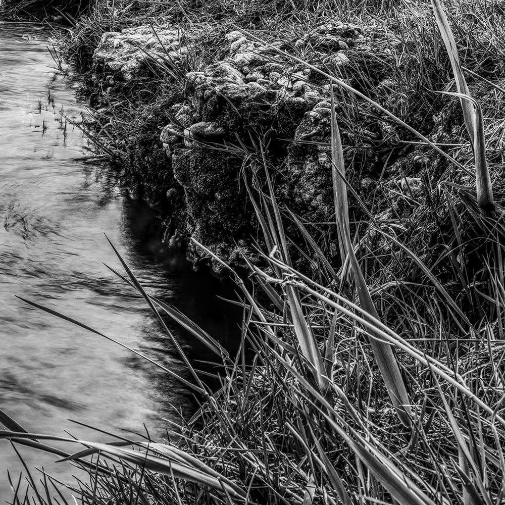Glezna baltā rāmī - Grass Over Water  Home Trends DECO