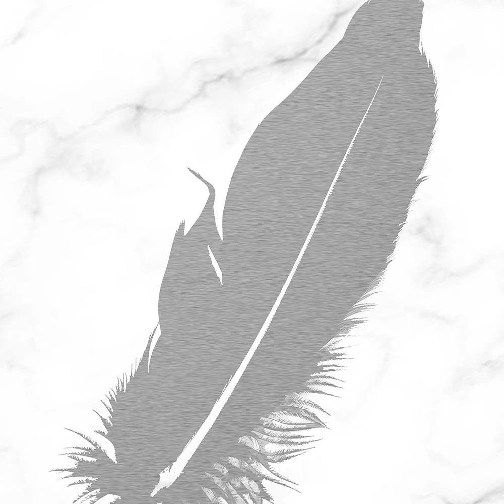 Glezna baltā rāmī - Gray Feather  Home Trends DECO