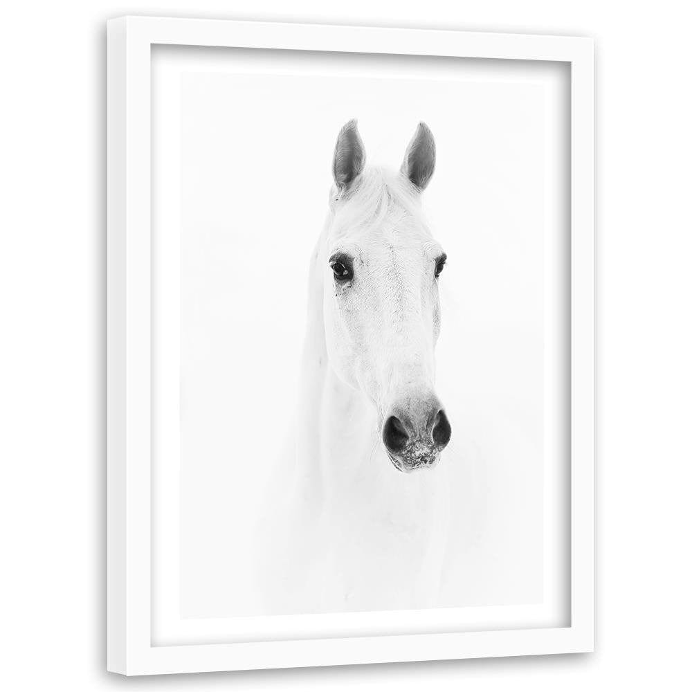 Glezna baltā rāmī - Gray Horse  Home Trends DECO