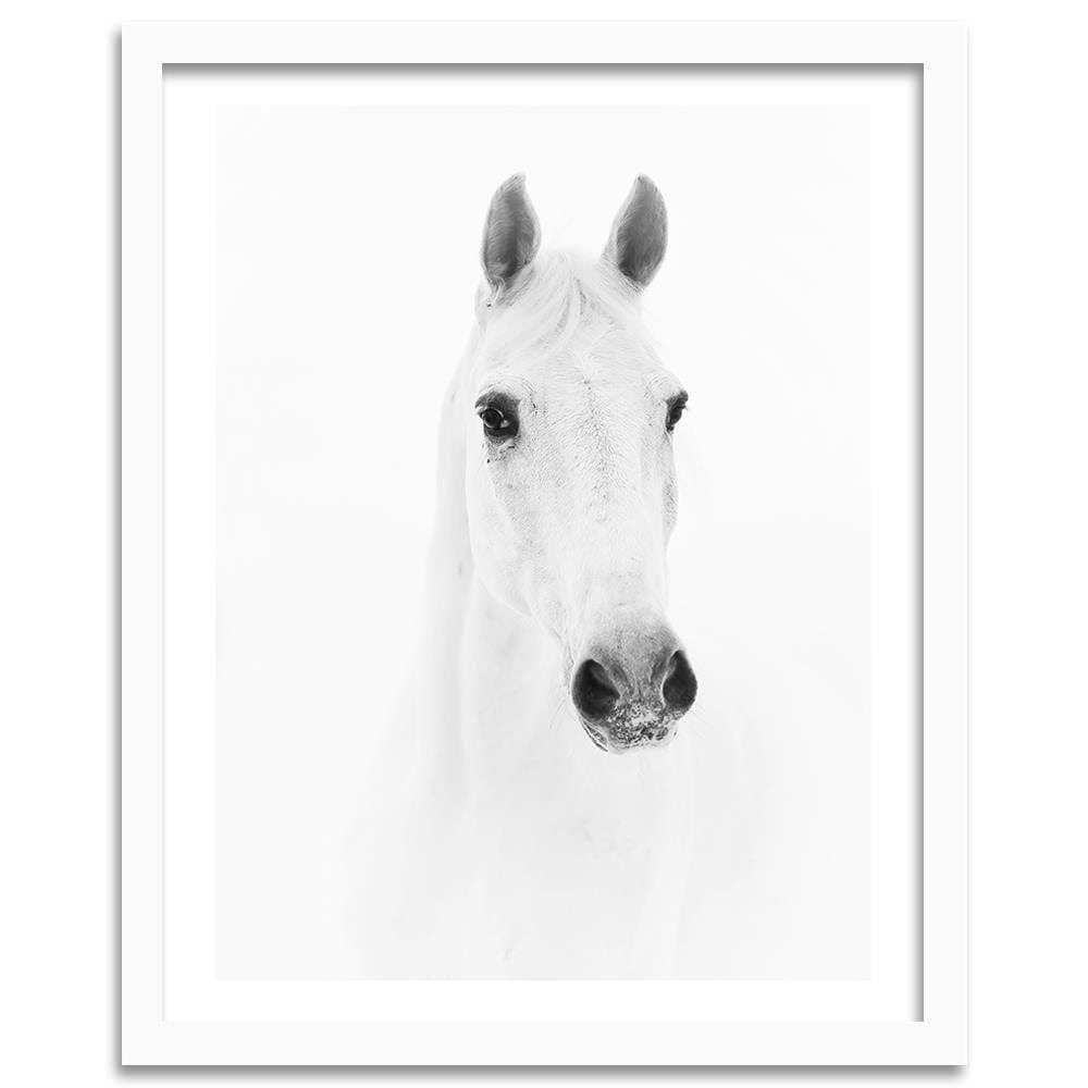 Glezna baltā rāmī - Gray Horse  Home Trends DECO