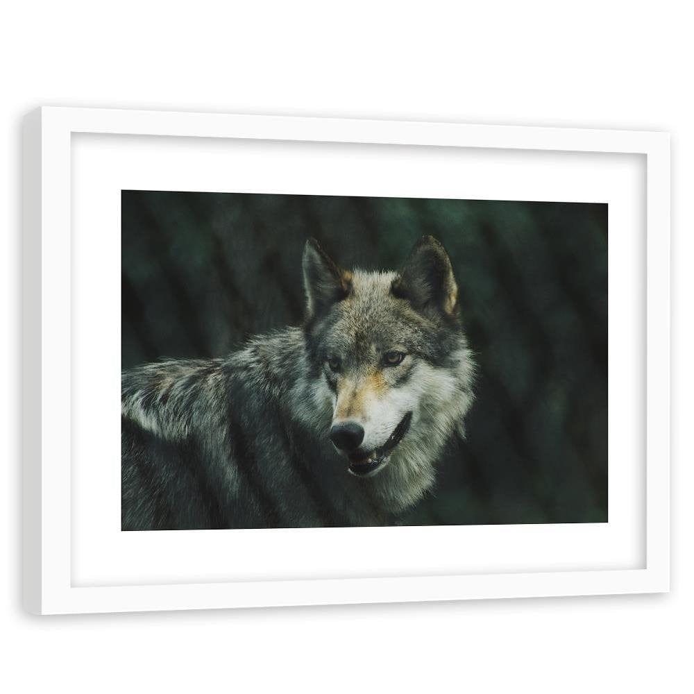 Glezna baltā rāmī - Gray Wil  Home Trends DECO