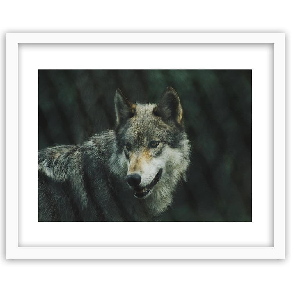 Glezna baltā rāmī - Gray Wil  Home Trends DECO