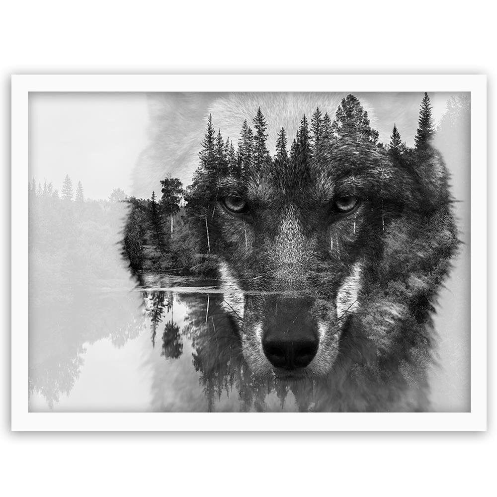 Glezna baltā rāmī - Gray Wolf  Home Trends DECO