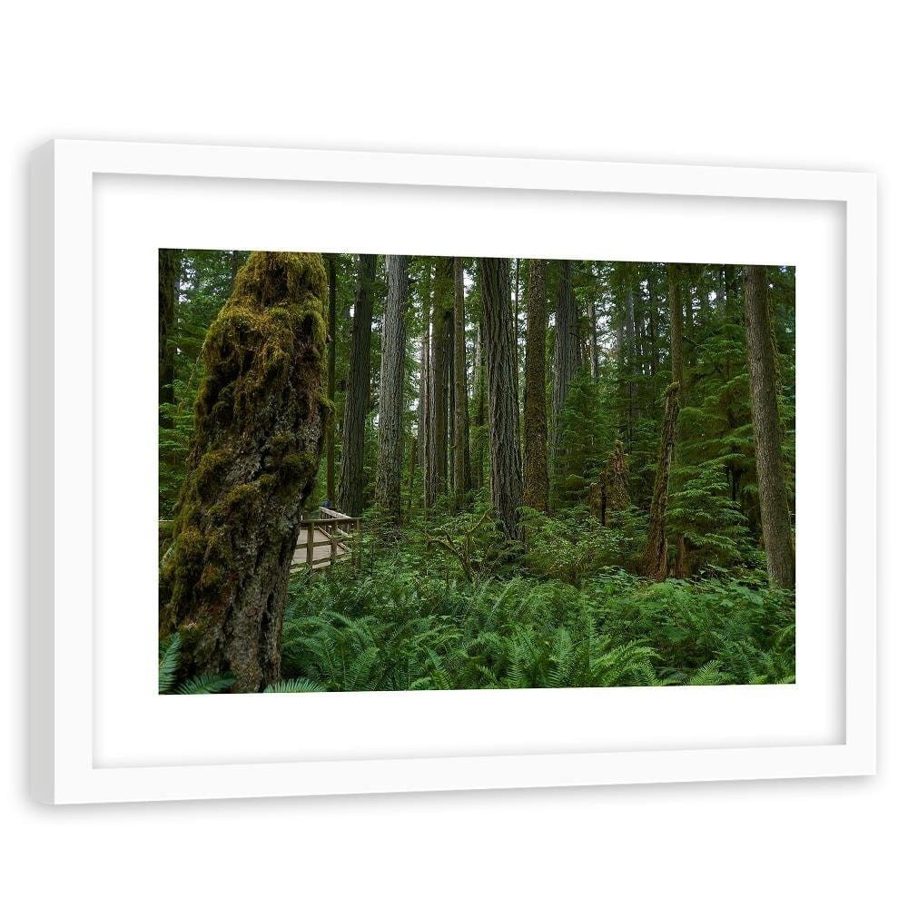Glezna baltā rāmī - Green Ferns In The Forest  Home Trends DECO