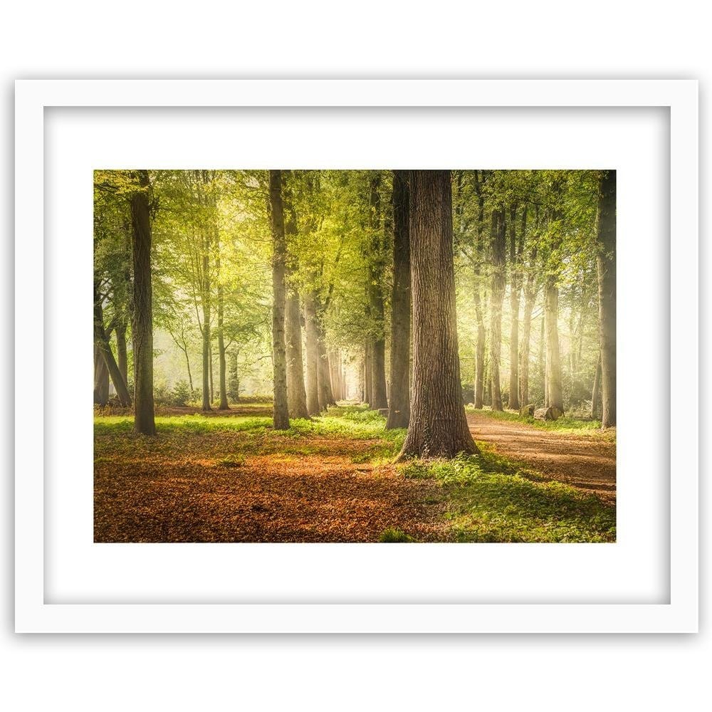 Glezna baltā rāmī - Green Forest  Home Trends DECO