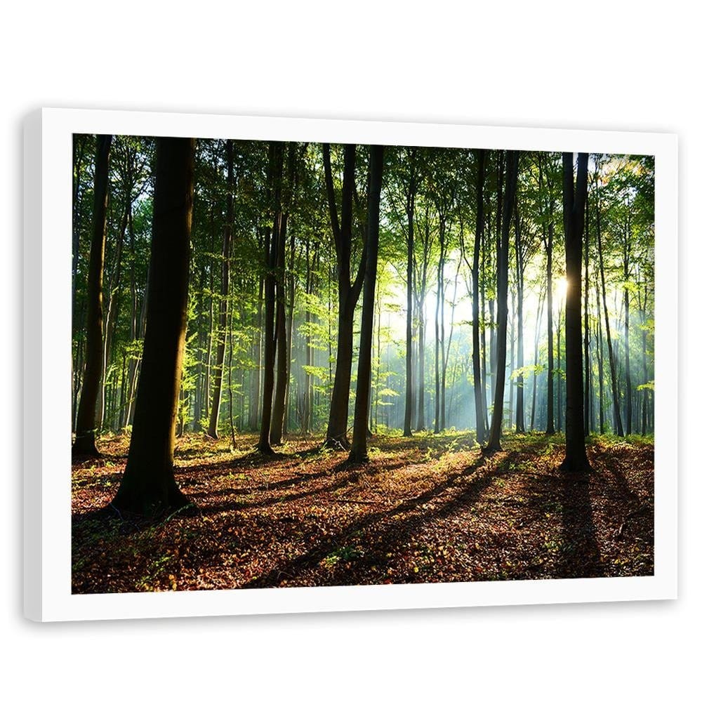 Glezna baltā rāmī - Green Forest  Home Trends DECO