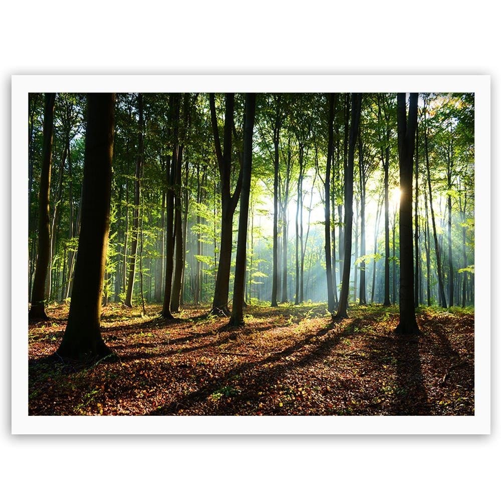 Glezna baltā rāmī - Green Forest  Home Trends DECO