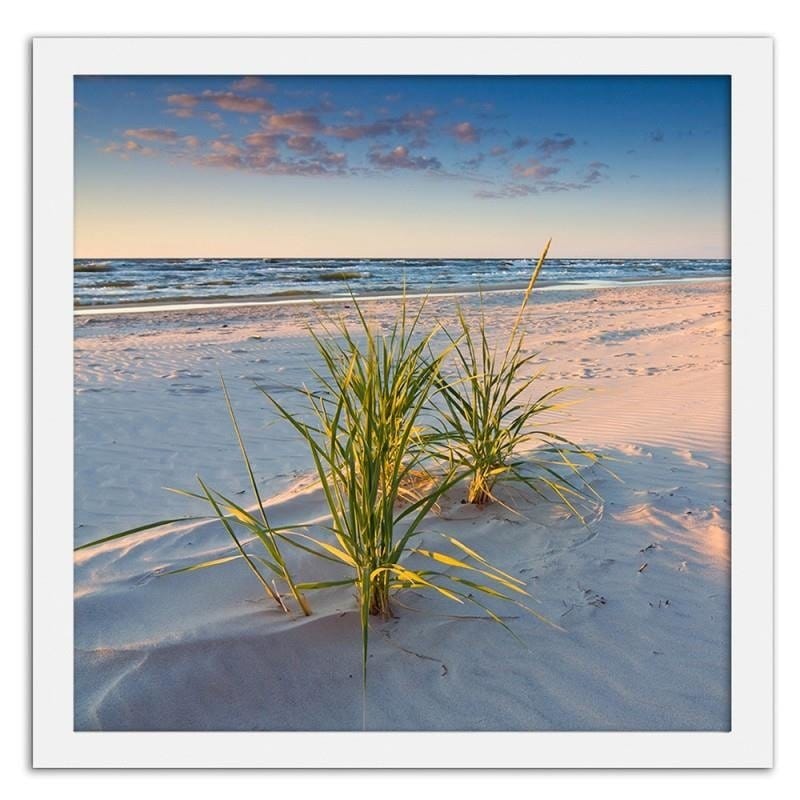 Glezna baltā rāmī - Green grass on the beach 2  Home Trends DECO