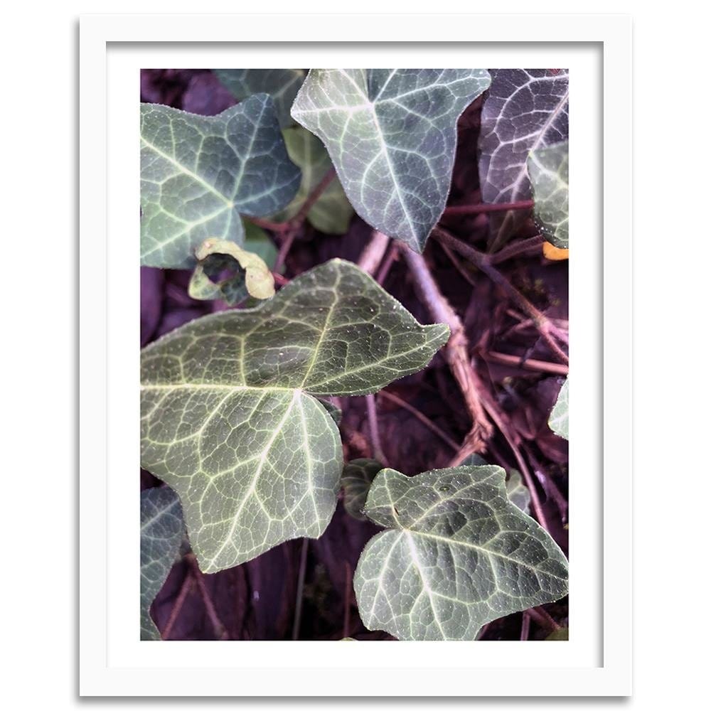 Glezna baltā rāmī - Green Ivy  Home Trends DECO