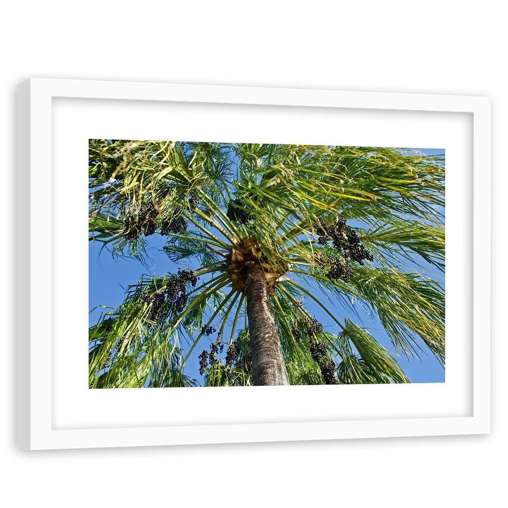 Glezna baltā rāmī - Green Palm  Home Trends DECO