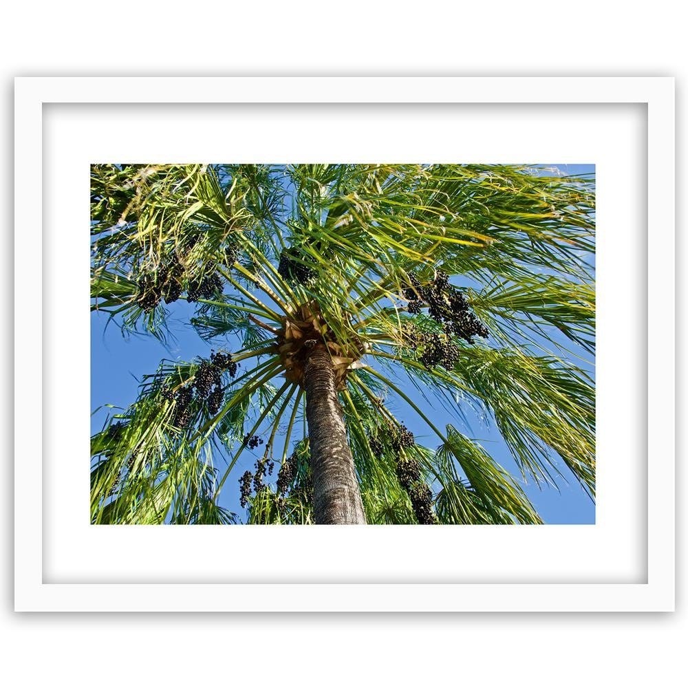 Glezna baltā rāmī - Green Palm  Home Trends DECO