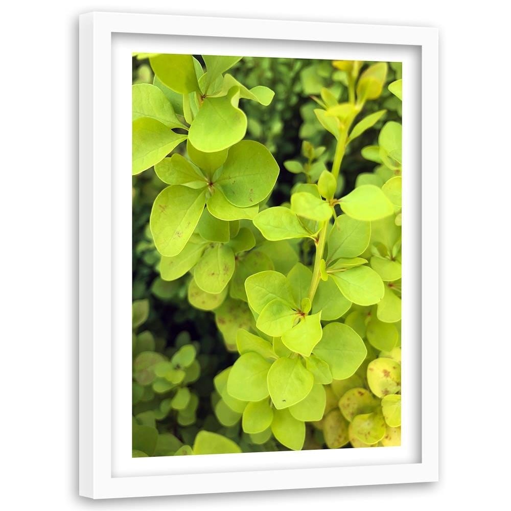 Glezna baltā rāmī - Green Plant  Home Trends DECO