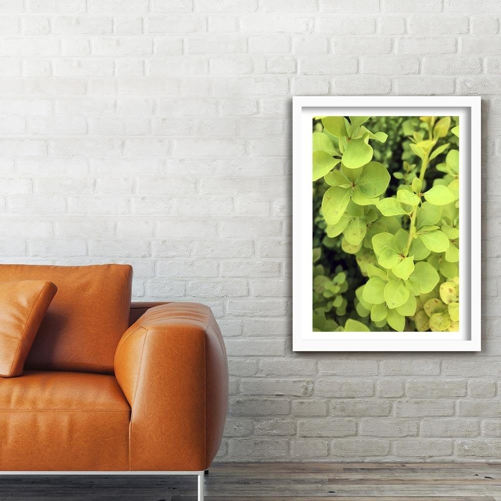 Glezna baltā rāmī - Green Plant  Home Trends DECO
