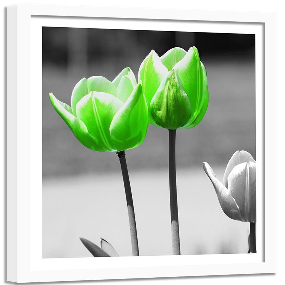 Glezna baltā rāmī - Green Poppies In Gray  Home Trends DECO