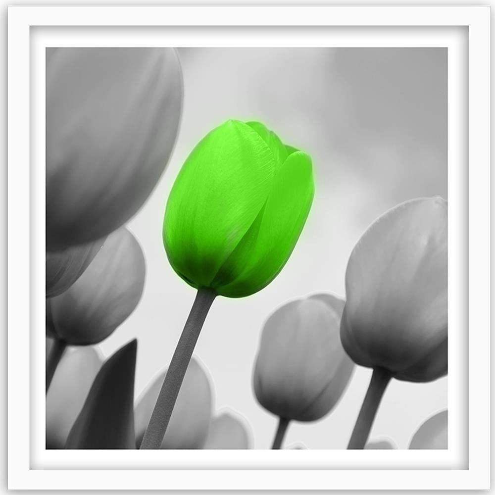 Glezna baltā rāmī - Green Poppy Flower  Home Trends DECO