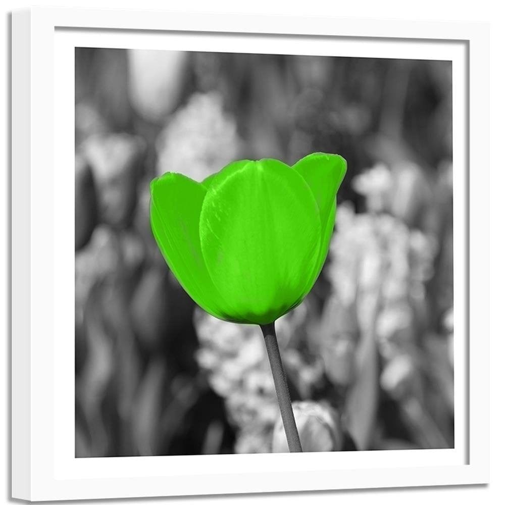Glezna baltā rāmī - Green Poppy Meadow  Home Trends DECO