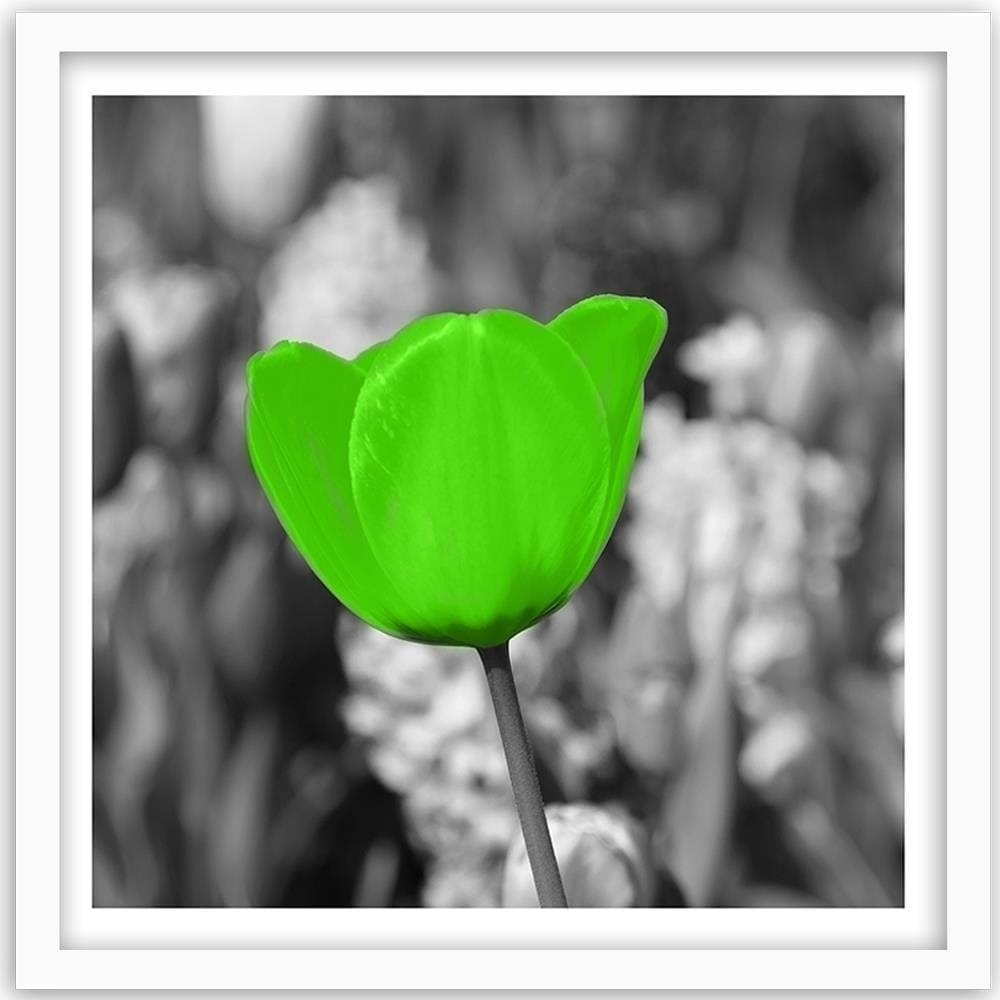 Glezna baltā rāmī - Green Poppy Meadow  Home Trends DECO