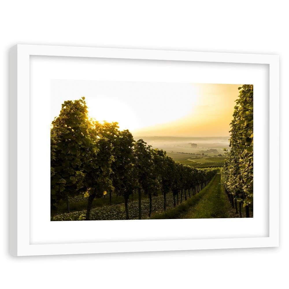Glezna baltā rāmī - Green Vineyards  Home Trends DECO
