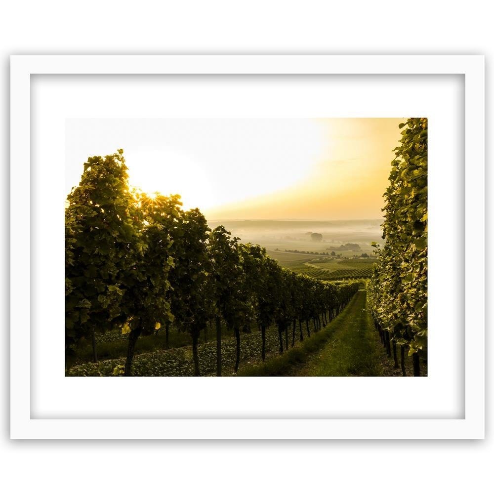 Glezna baltā rāmī - Green Vineyards  Home Trends DECO