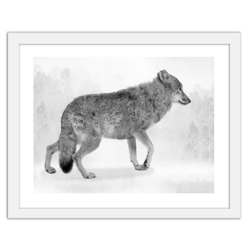 Glezna baltā rāmī - Grey wolf 2  Home Trends DECO
